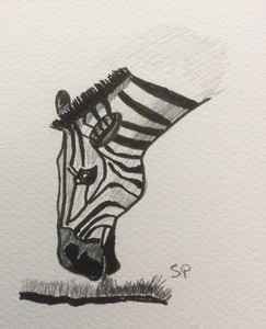 Sandra P, Zebra.JPG